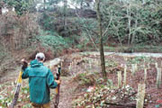 Stream restoration at Johnson Creek