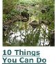 10 Things You Can Do for Johnson Creek