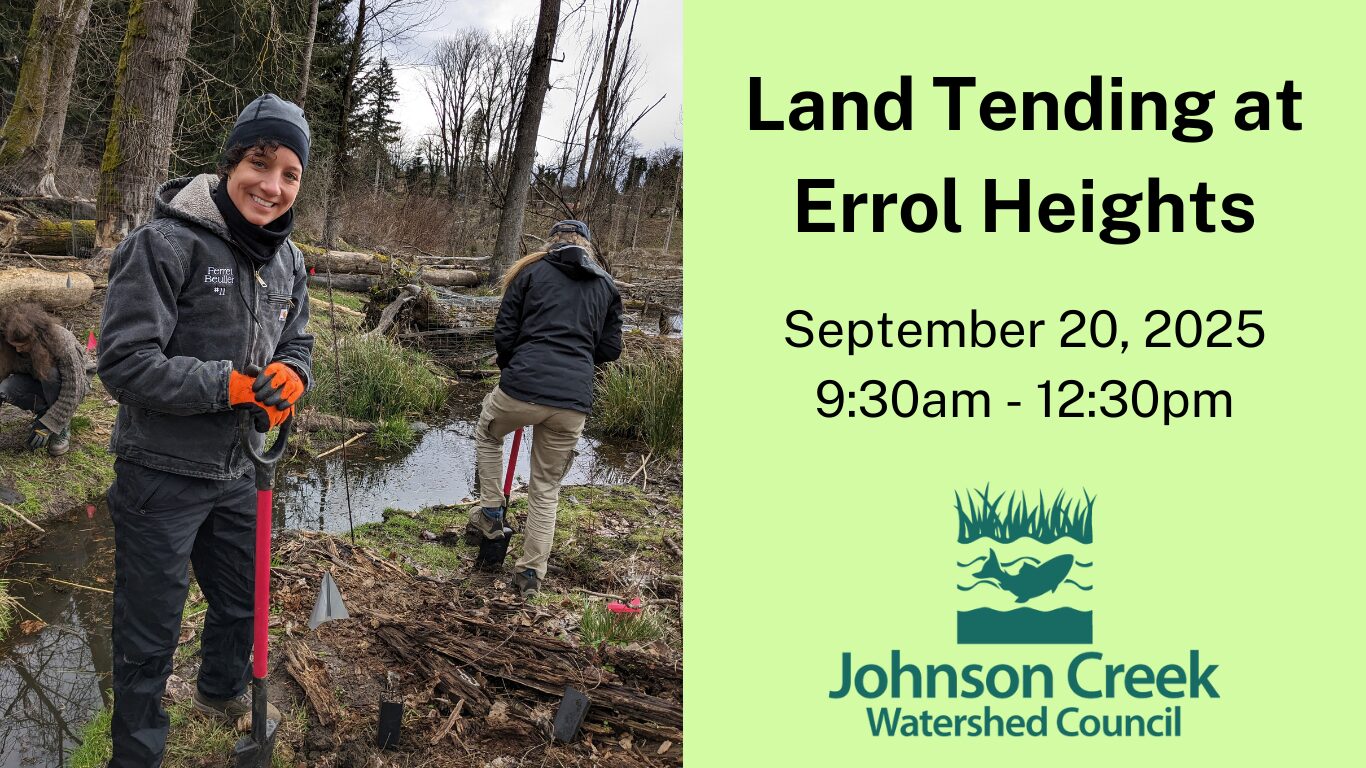 Volunteer planting in front of water